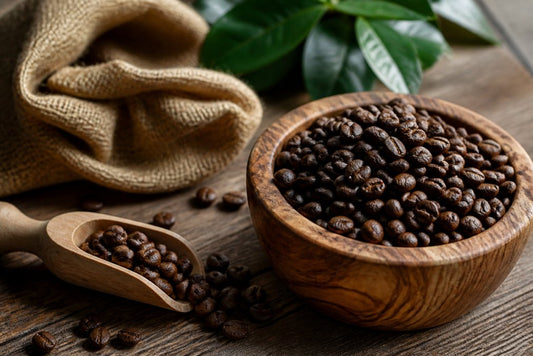 Best Organic Coffee Beans for Sensitive Stomachs 2026