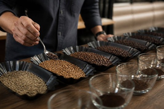 How to Choose Coffee Roast Profiles (2026 Guide)