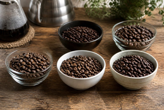 Single Origin Coffee Beans for Beginners